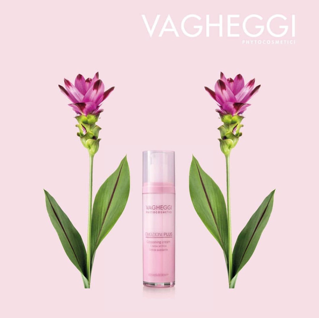 Vagheggi Emozioni Plus Cocooning Face Cream 50ml